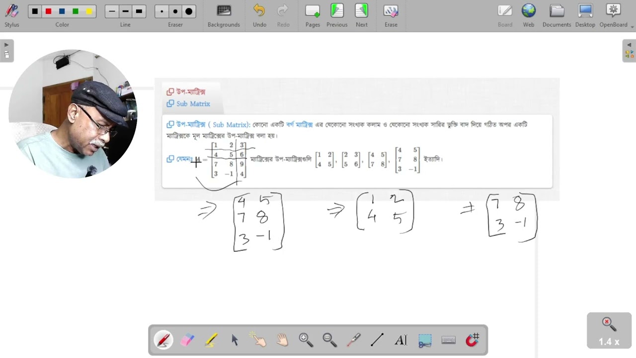 Submatrix Explained | Definition, How to Find & Examples