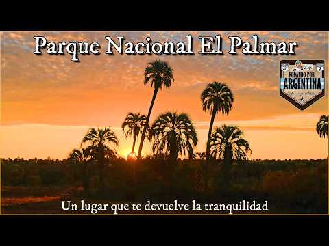 Parque Nacional El Palmar Ubajay Entre Rios, un viaje entre palmeras, historia, fauna y tranquilidad