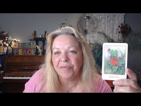 Your Daily Focus for August 23, 2019 through Tarot, Numerology and Astrology