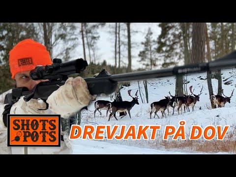 ÅRETS BÄSTA JAKT - Lubbe är på drevjakt på dov