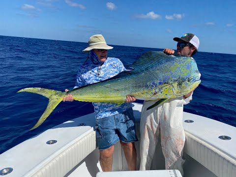 Bull Mahi 61.4 pounds Marathon FL April 13 2021