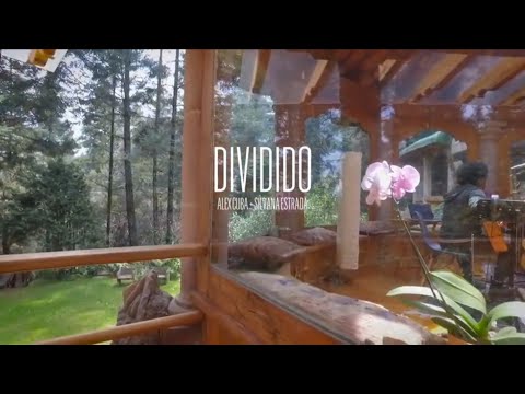 Dividido feat. Silvana Estrada