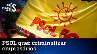 Deputados do PSOL pedem a Moraes investigação de empresários; Hang desmonta narrativa