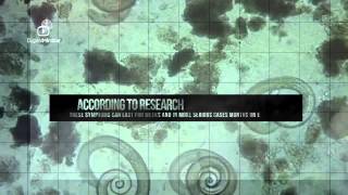 Video: Why did God forbid the eating of Pork or swine meat?