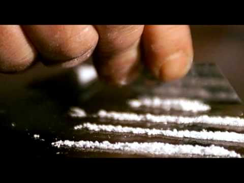 Aleks M. - Balkantrend JDB