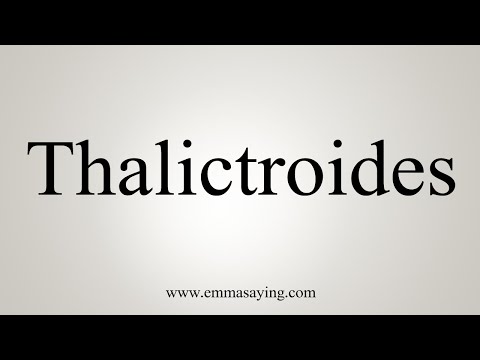 How To Say Thalictroides