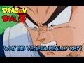 Why Did Vegeta REALLY Cry In Depth Character Analysis