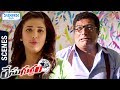 Shruti Haasan Makes Fun of Prakash Raj | Race Gurram Telugu Movie Scenes | Allu Arjun | Thaman