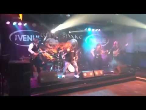 Whit'snake love ain't no stranger