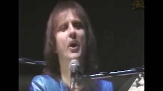 POOH Siamo tutti come noi  1982 LivePalasport