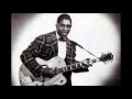 Bo Diddley -Sixteen Tons ( HQ)