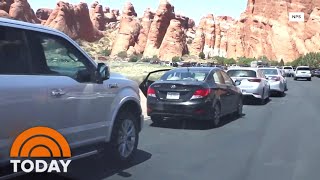 National Parks Strained As Americans Visit In Record Numbers