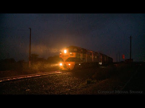 9775V SSR Grain Train With CLF3 & CLP9 In Night-Time Rain (6/9/2024) - PoathTV Australian Railways