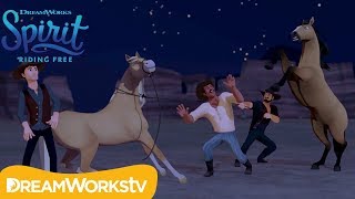 The Break In | SPIRIT RIDING FREE