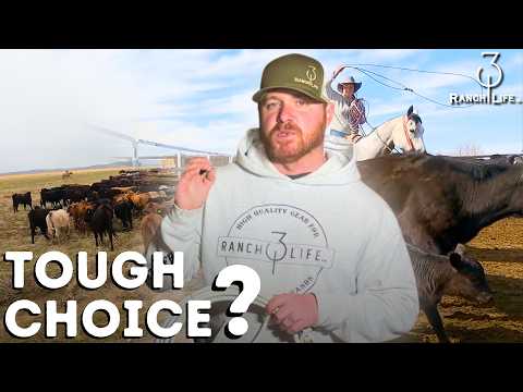 How To Choose A Ranch Rope #310ranchlife #ranchlifestyle