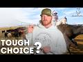 How To Choose A Ranch Rope #310ranchlife #ranchlifestyle