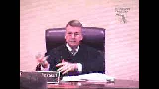 🏗️ State Agency vs. Private Individual: Child Welfare Dispute | FL Dept of Health v. S.A.P.
