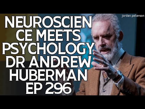 Talented Psychologist - Neuroscience Meets Psychology Dr Andrew Huberm EP 296 - Jordan Peterson 2023