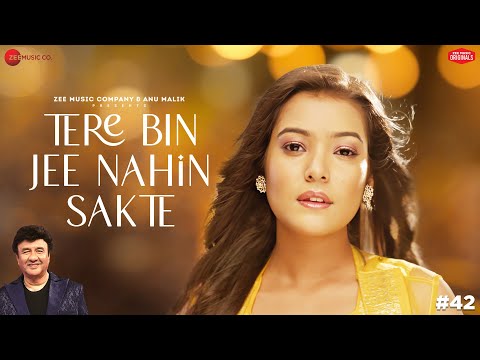 Tere Bin Jee Nahin Sakte — watch video