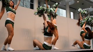 横浜スポーツパートナーズ春まつり 横浜エクセレンス チアリーダーズ Elegance①