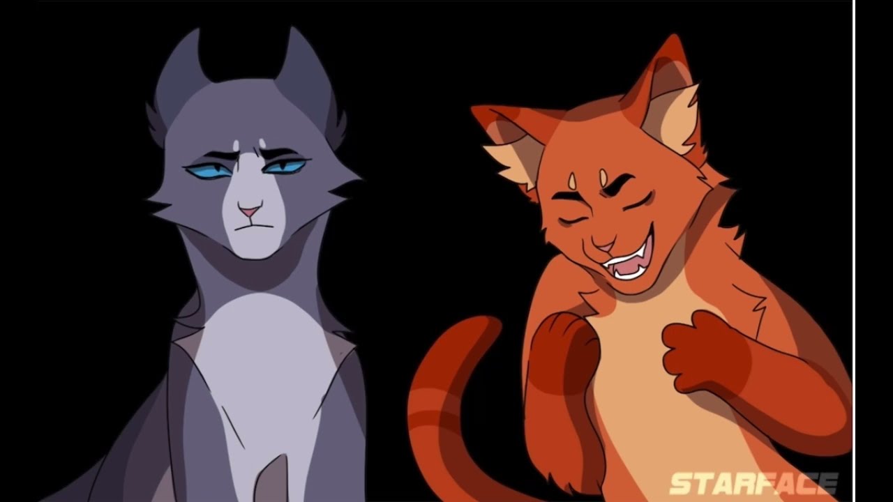 Warrior cat memes / funny