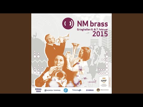 Sinfonietta "The Wayfarer"