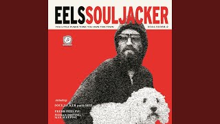 Music video thumbnail preview for Jungle Telegraph by EELS