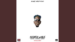 Lights, Camera, Action