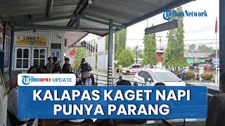 Kronologi 19 Narapidana Lapas Nabire Melarikan Diri, Keberadaan Parang di Dalam Lapas Dipertanyakan
