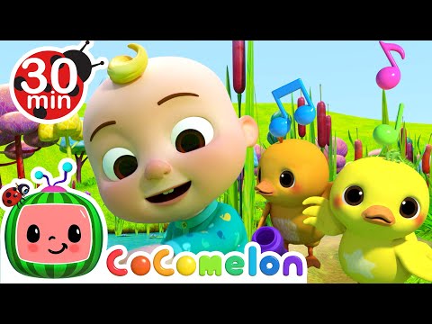 Download Cocomelon Five Little Ducks Mp3 Free And Mp4