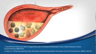 Hill's™ Prescription Diet™ c/d™