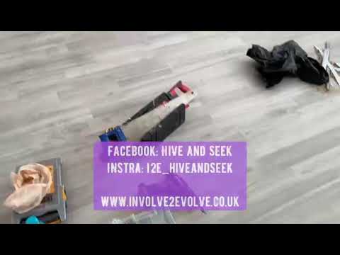 Hive and Seek video.