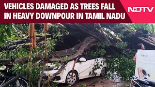 Tamil Nadu Rains | Vehicles Damaged As Trees Fall In Heavy Downpour In Tamil Nadu