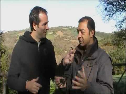 L'arte del fonico, Marco Tidu