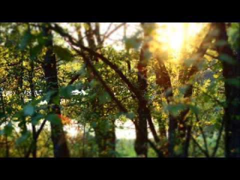 download lagu mp3 mp4 Waka Nusa, download lagu Waka Nusa gratis, unduh video klip Waka Nusa