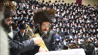 הכנסת ספר תורה לז"נ כ"ק אדמו"ר מסאדיגורה זצ"ל |  Hachnosas Sefer Torah - Sadigura