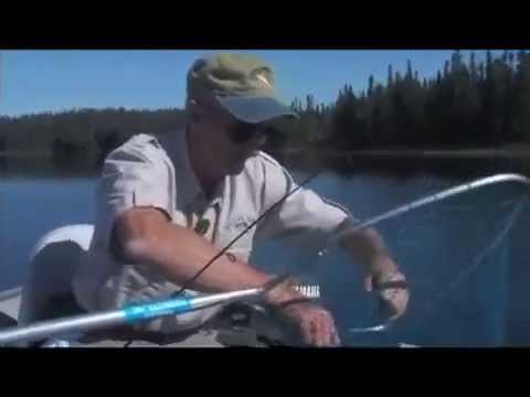 Walleye Fishing Howey Bay Resort - YouTube