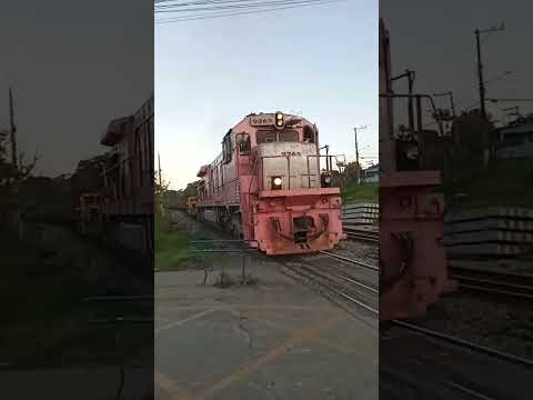 Cipó Guaçu  / São Paulo 🇧🇷👍