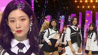 《ADORABLE》 DIA(다이아) - WooWoo(우우) @인기가요 Inkigayo 20180909