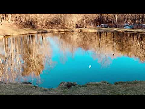 chrmng, - likewise (ericdoa)