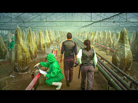 In Future, Humans Discover a Man-Eating Plant That Can Produce Fuel Indefinitely