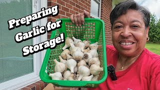 Harvesting Food and Harvesting Seeds!