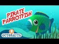 Octonauts Pirate Parrotfish Full Episode Cartoons For Kids