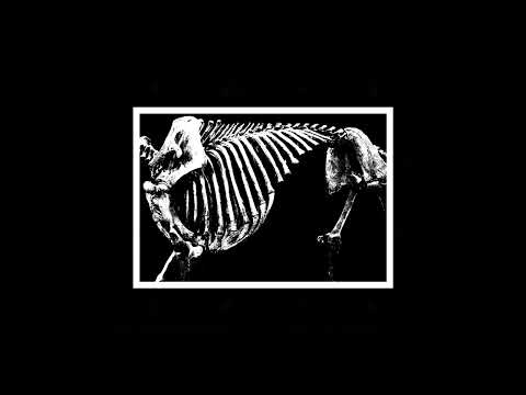 Kjostad - Boreal (Cutting Into The Roots Of The Timber)