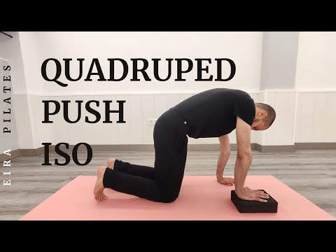 Quadruped Push Iso