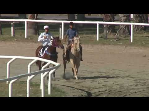 CARRERAS SINT COLONIA - 220505 c01 1° SAP MOGATA