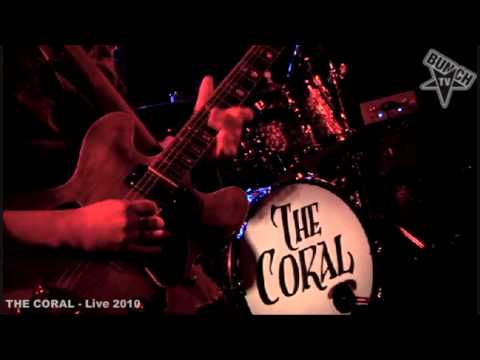 The Coral - Roving Jewel