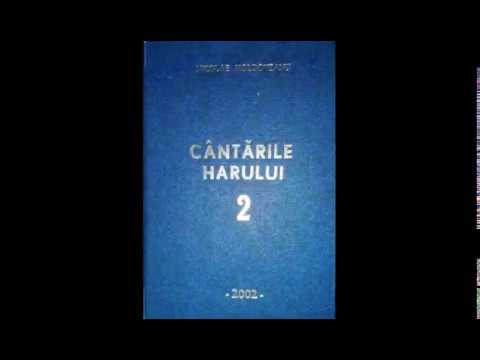 Mă dăruiesc Luminii | Nicolae Moldoveanu | Cântările Harului | Instrumentală