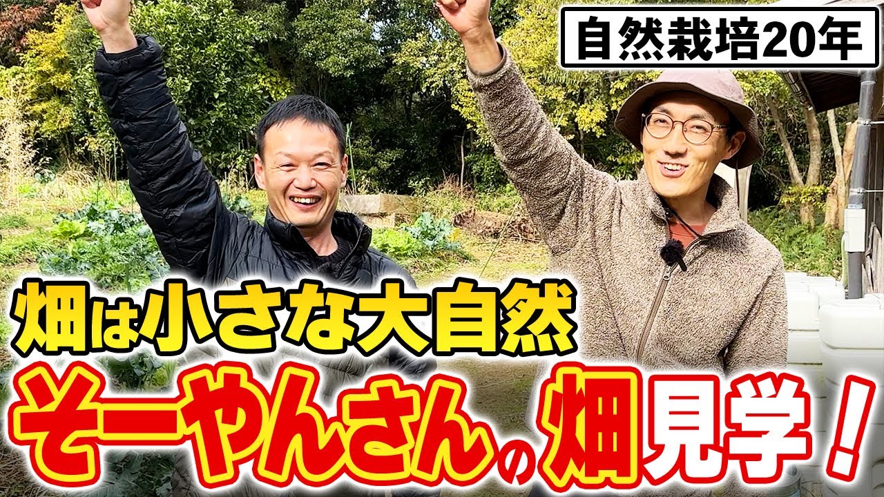自然農10年の調和する畑づくり