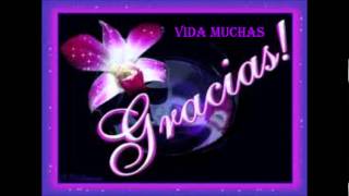 Mister Chivo - Muchas Gracias - con letra